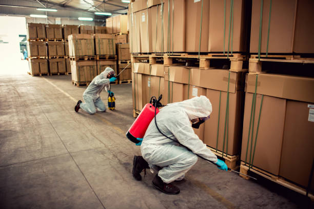 Best Residential Pest Control  in Cordova, AL