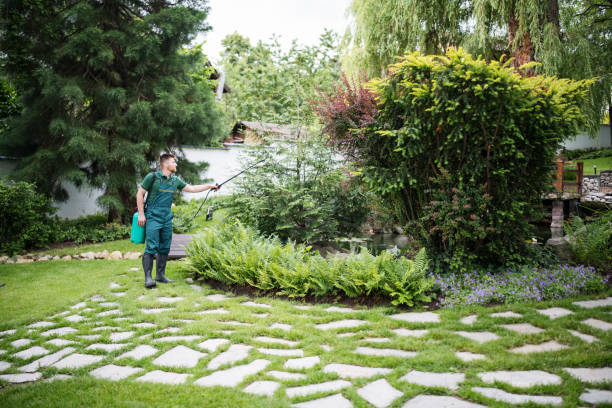 Reliable Cordova, AL Pest Control Solutions