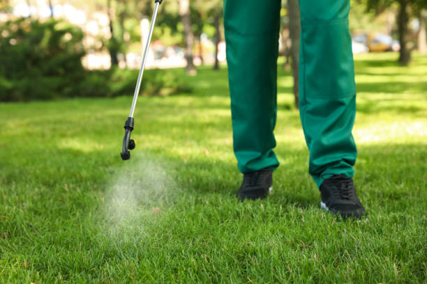Best Affordable Pest Control Services  in Cordova, AL