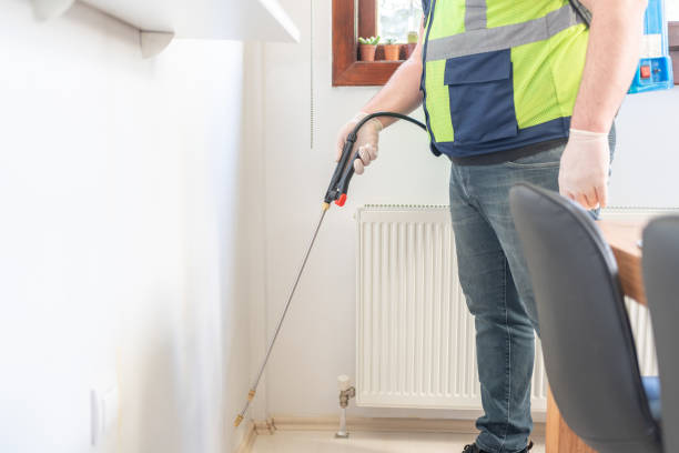 Best Ant Control Services  in Cordova, AL