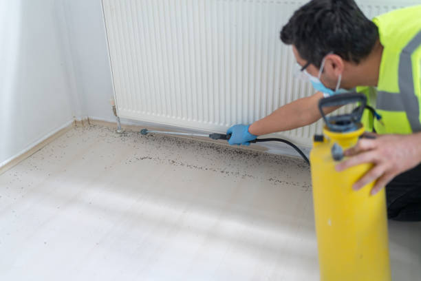 Pest Control for Restaurants in Cordova, AL